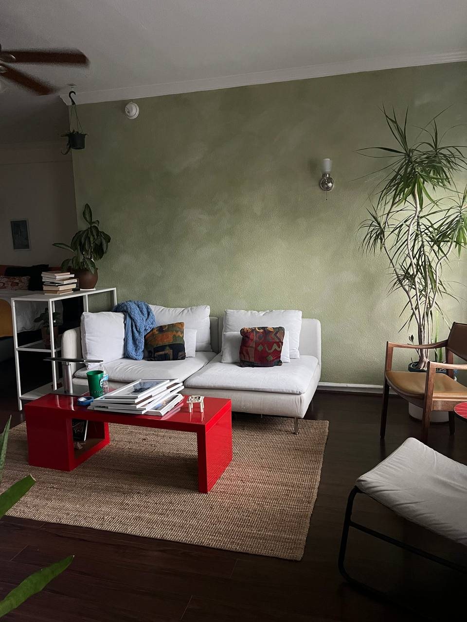 Soft green limewash living room